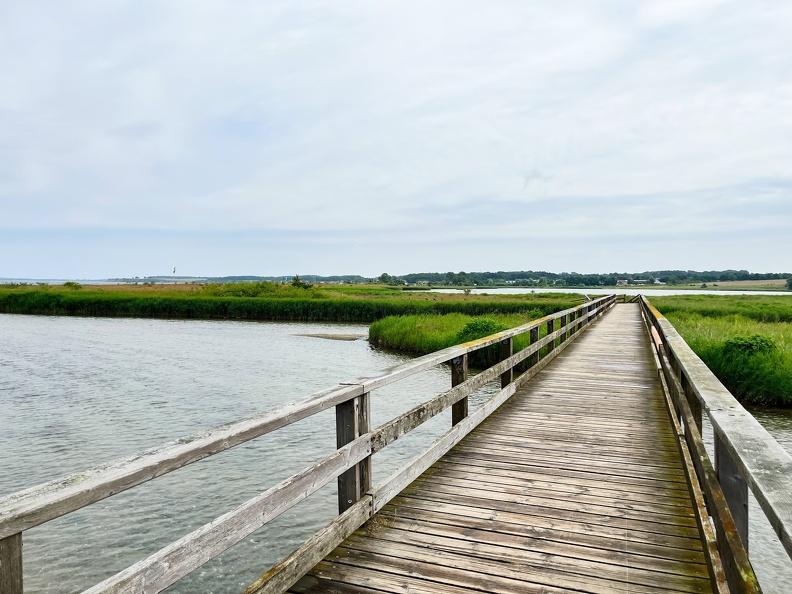 24-06-21 13-54-50 9751.jpeg